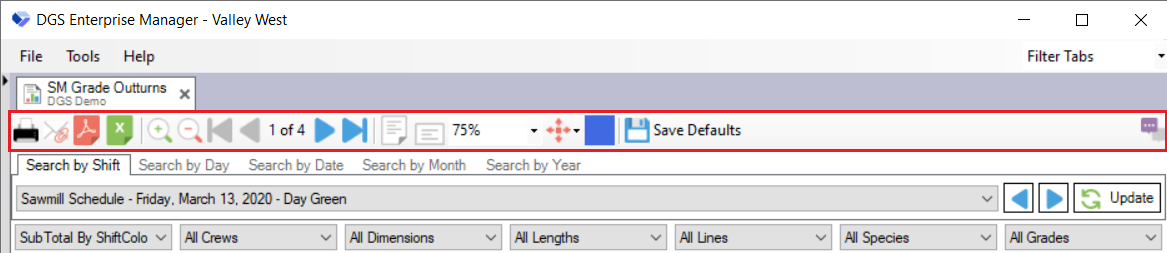 Report ToolBar
